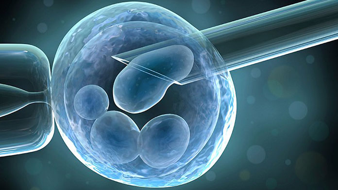 embriyo donasyonu kıbrıs tüp bebek